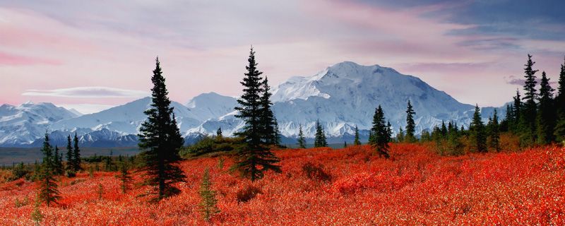 Mount McKinley Denali in the Fall, Alaska