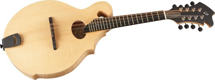 Breedlove American Series FO Mandolin Natural  