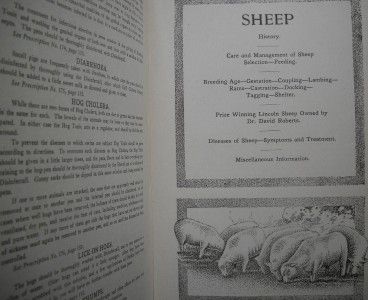   Animal BOOK / 1911 VTG VETS FARM HORSE COW SHEEP VETERINARIAN  