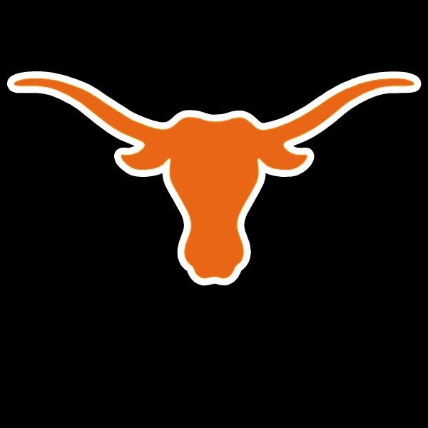 Texas Longhorns Bevo Logo 14 x 28 Auto Car Truck Window Sticker 