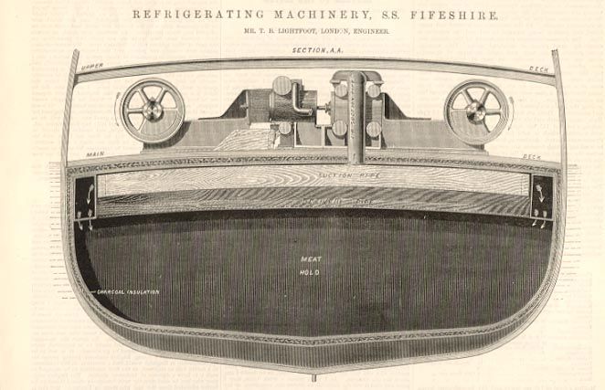 New Zealand Meat Trade Ship SS Fifeshire 1887  