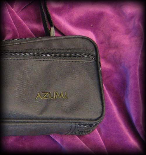  by Altus founder and flutemaker Shuichi Tanaka, the Azumi 