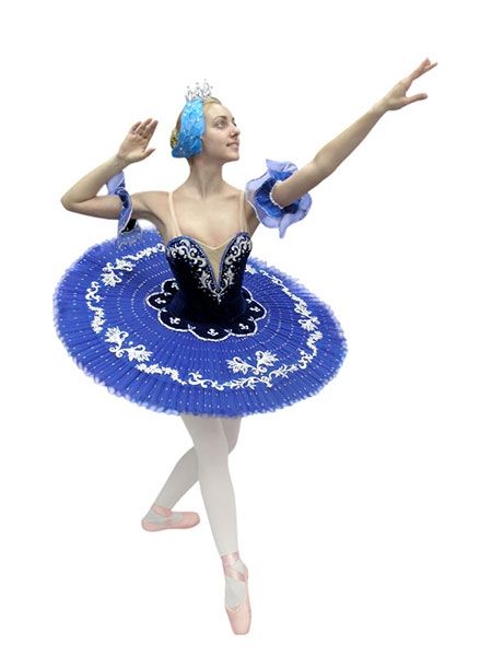 Blue bird costume for adult P 0409 Sleeping Beauty  