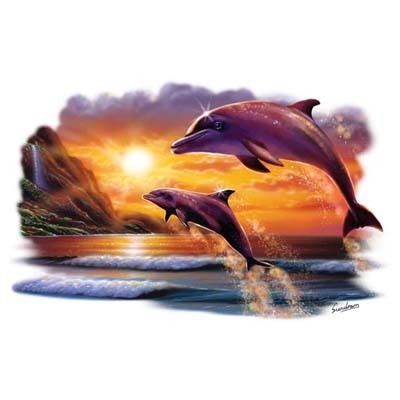 Orca Sunset Dolphin Tshirt Sizes/Colors  