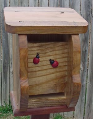 Ladybug House   Walnut Stain  