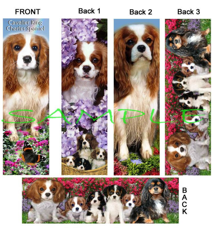 CAVALIER KING CHARLES SPANIEL BOOKMARKS Dog Art Gift  