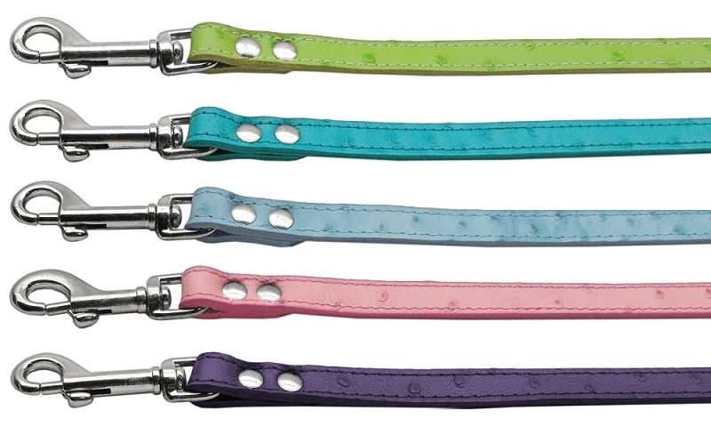 Faux Ostrich Leather Dog Leash   Assortment of Great Colors Available 