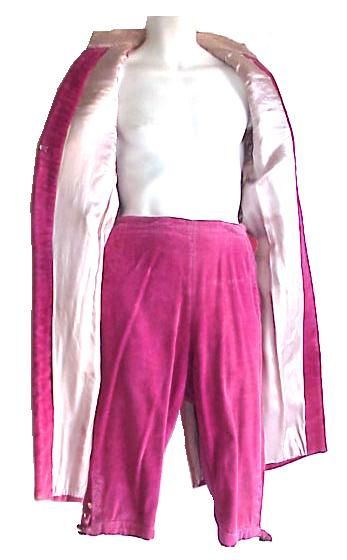 MARIE ANTOINETTE NAPOLEONIC SWASHBUCKLER VELVET OUTFIT  