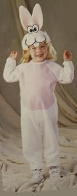 Baby Bunny Rabbit Toddler Costume Size 2 4  