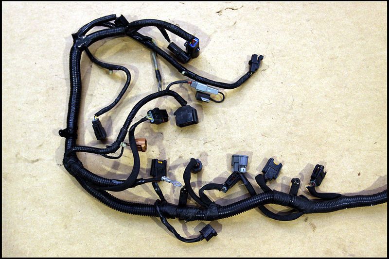   MUSTANG SVT COBRA 4.6 DOHC ENGINE / INJECTOR WIRING HARNESS 1998 4V