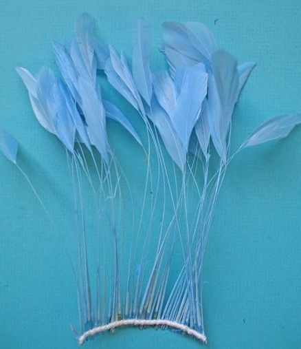 30 PCS. LIGHT BLUE STRIPPED COQUE ROOSTER FEATHERS  