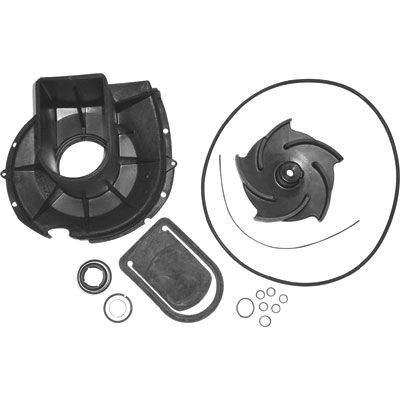 Pacer Pump Rebuild Kit #58 702EP P  