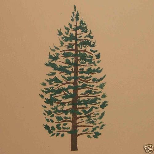 JACK PINE Tree Stencil   wall murals & signs 202 L  