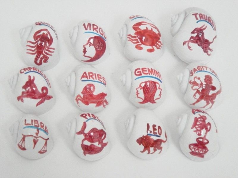 HERMIT CRAB SNAIL SHELL PAINTED HOROSCOPE 12 PCS #7402  